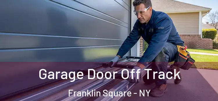  Garage Door Off Track Franklin Square - NY