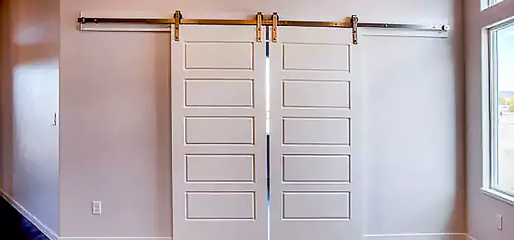 Glass Barn Door with Installation Hardware Kit Franklin Square