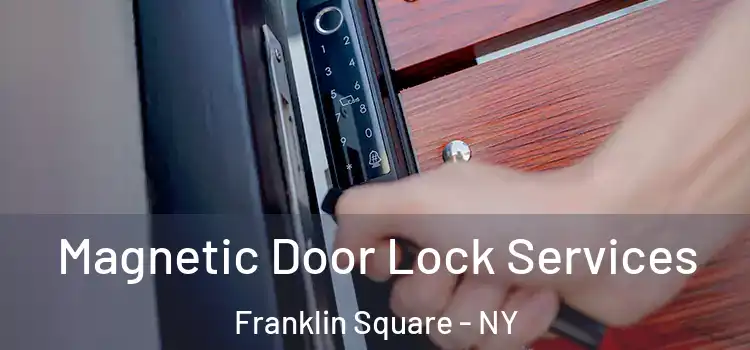 Magnetic Door Lock Services Franklin Square - NY